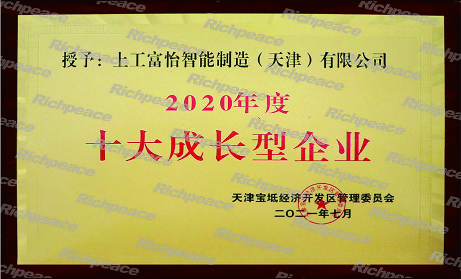 十大成長型企業